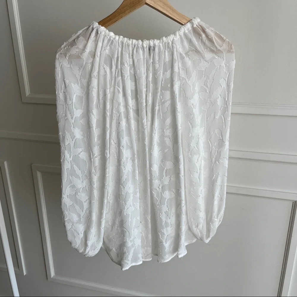 Sheer Blouse with Floral Applique - Picture 15 of 16